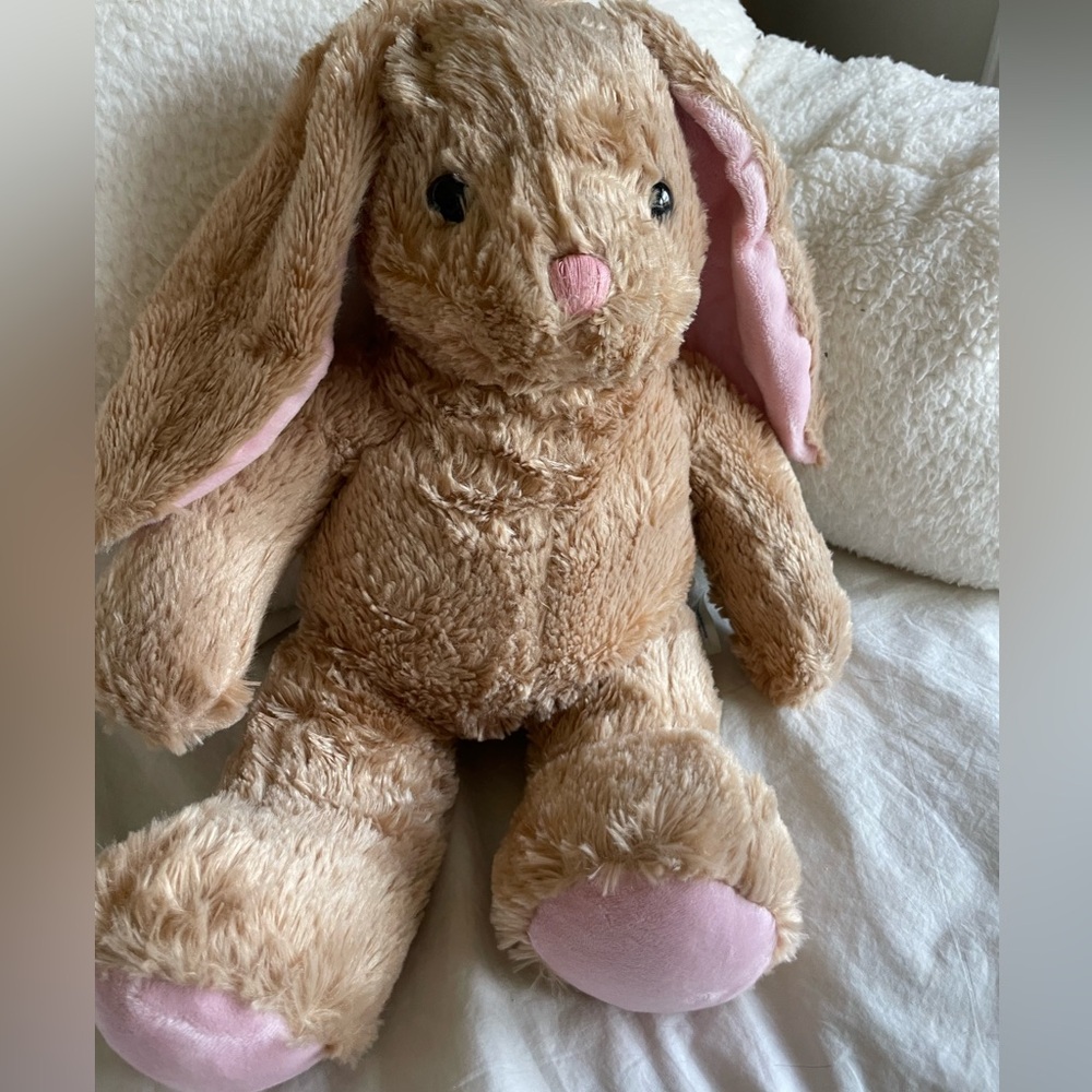 Build-a-Bear Cute stuffed Bunny